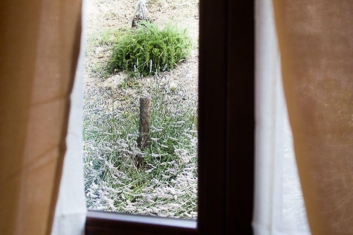 Agriturismo La Ca Veja Monforte dʼAlba Kültér fotó