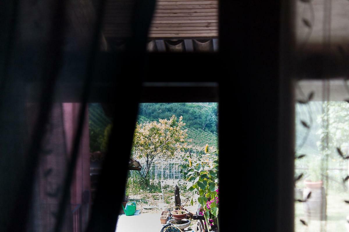 Agriturismo La Ca Veja Monforte dʼAlba Kültér fotó
